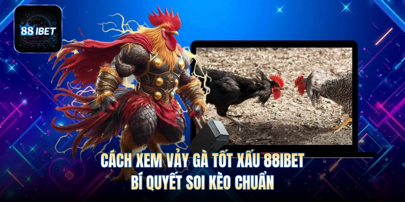 Cách Xem Vảy Gà Tốt Xấu 88IBET - Bí Quyết Soi Kèo Chuẩn