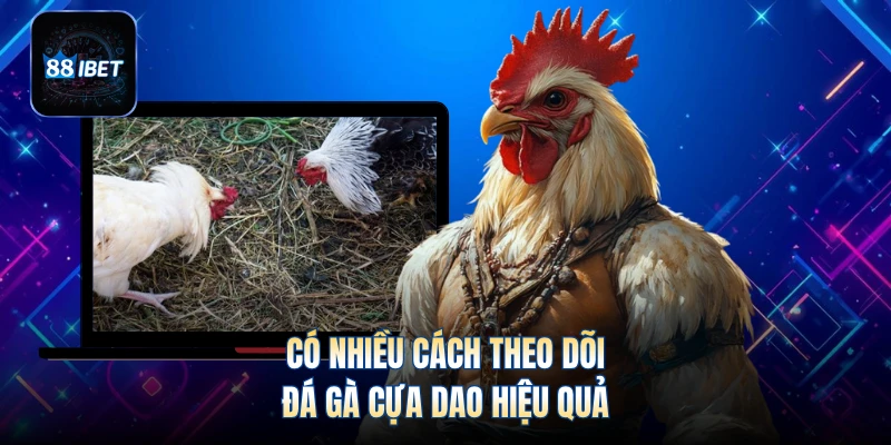 Có nhiều cách theo dõi đá gà cựa dao hiệu quả