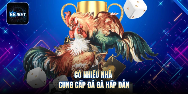 Có nhiều nhà cung cấp đá gà hấp dẫn