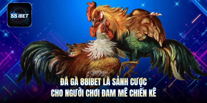 Đá gà 88IBET là sảnh cược cho người chơi đam mê chiến kê