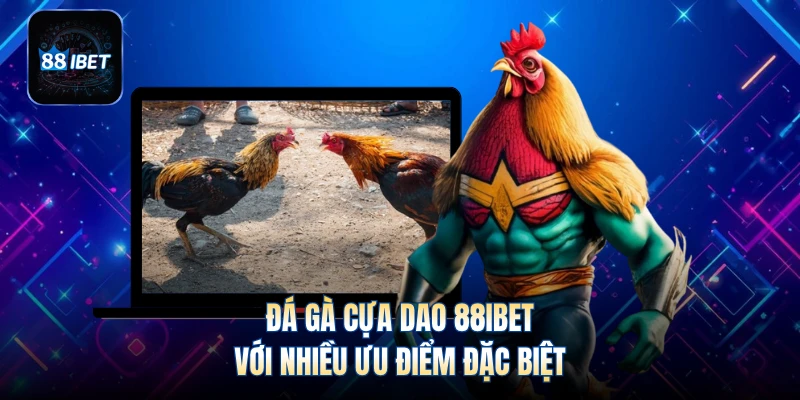 Đá gà cựa dao 88IBET với nhiều ưu điểm đặc biệt